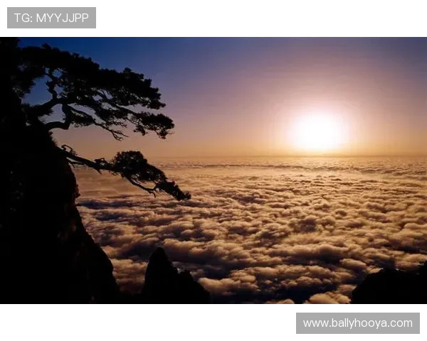 帆船毕焜谈海上的日出奇景